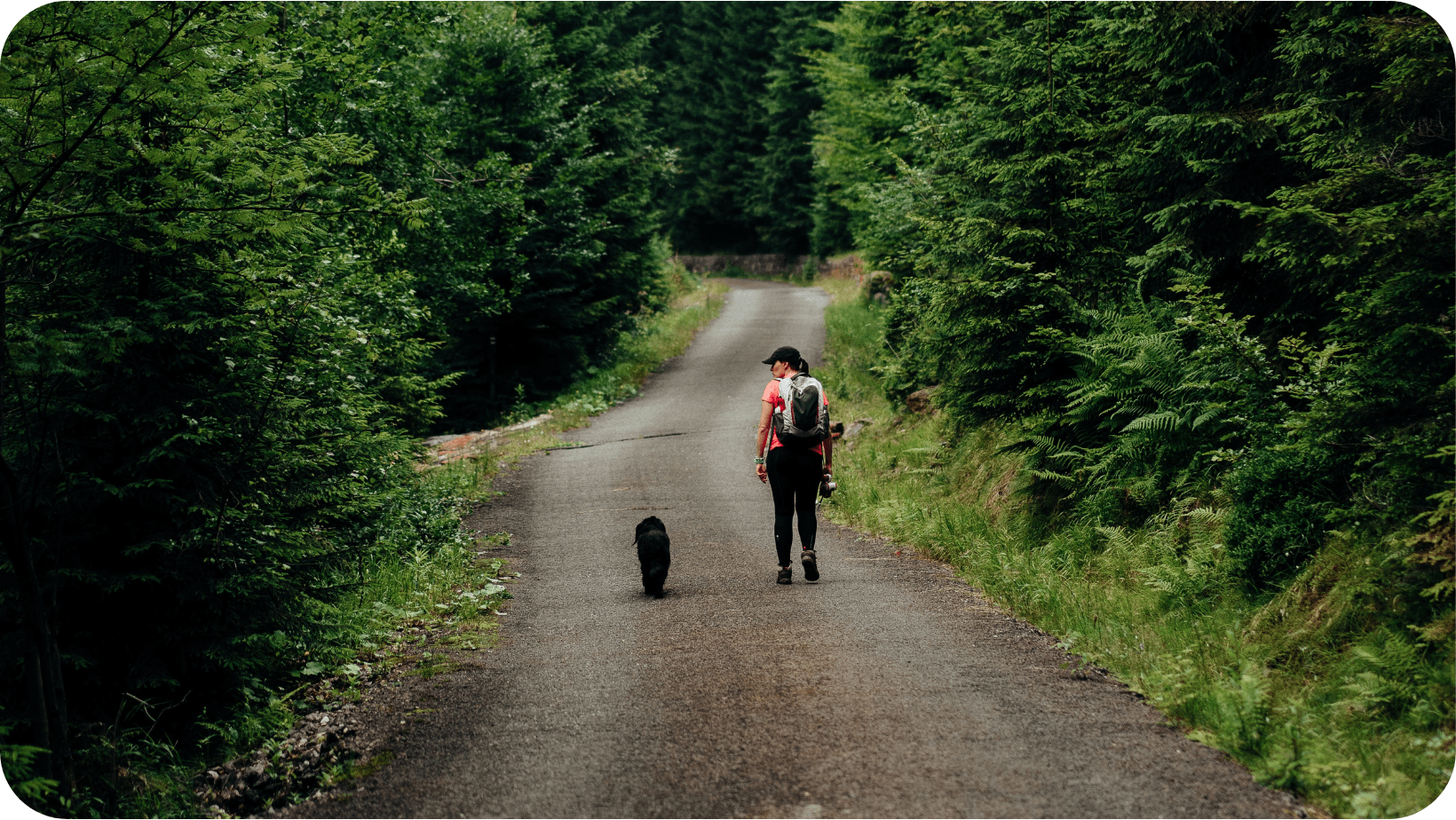 Una persona con su perro paseando por un camino